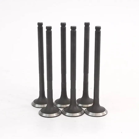 Válvula de escape BYD F0 1.0 (6 Unidades)