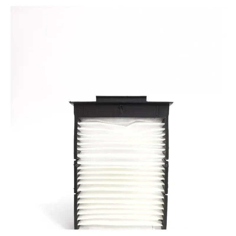 Filtro aire y polen BYD F0